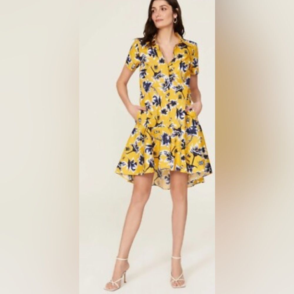 Osman Yousefzada Graphic Floral Beetle Bug Print Design Design Dress Size 6